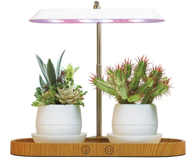 鉢植え植物用2-IN-1LEDグローライト＆LEDランプ