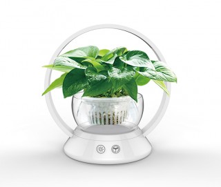 LED 植物生长灯-Halo
