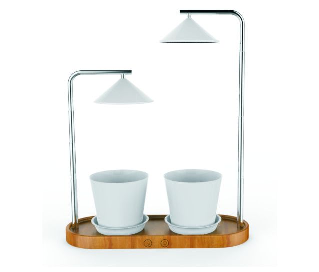 2-IN-1 360 ° LED-Wachstumslicht (Alfa) & LED-Lampe für Topfpflanzen