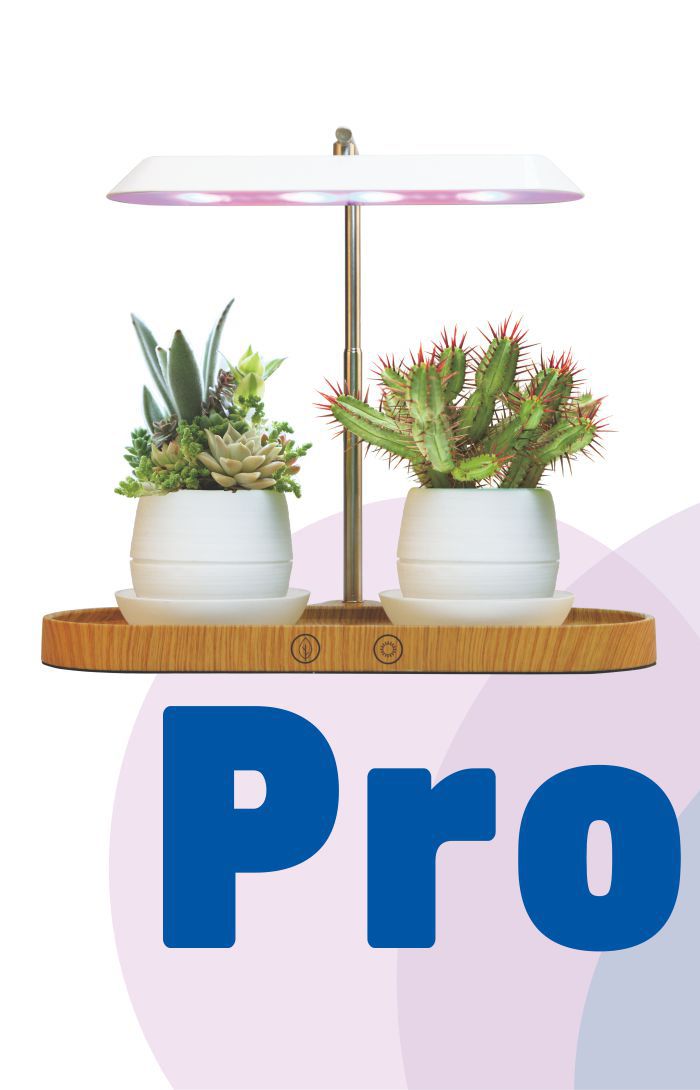 Plant Grow Light