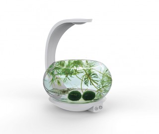 Светодиодный светильник для аквариума и декоративный светильник - Swan