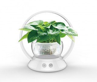 LED Grow Light For Flowering Plants & Indoor Plants