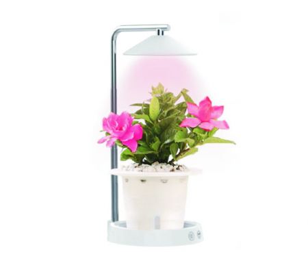 2-IN-1 360 ° 調整可能な LED ランプ & 植物育成ライト (Alfa)