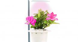 LED 植物生長燈-Alfa