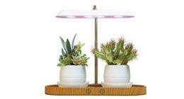 Indoor Plant Grow Light & Succulent Light & Working Lamp