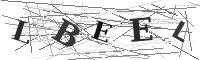 Please refresh your browser to see this image.